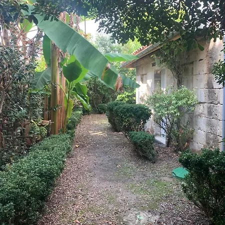 Le Vert D'eau, Maisonnette Avec Jardin - Centre Apartament *